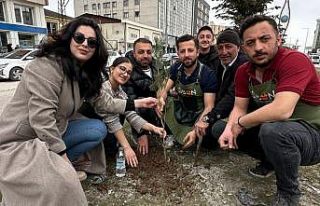 Yüksekovalı girişimci kadın çevreye dikkat çekmek...