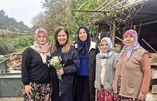 Yunusemre’de güzellik seferberliği