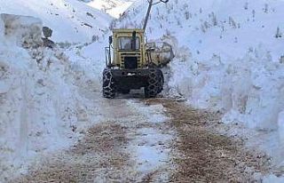 Yurda bahar geldi, Ovacık’ta karla mücadele sürüyor