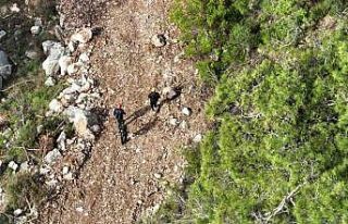 Yürüyüşe çıktığı dağlık alanda kayboldu:...