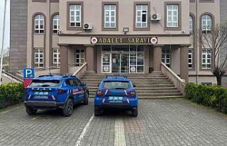 Zonguldak’ta süs bitkisi bahçesinde uyuşturucu...