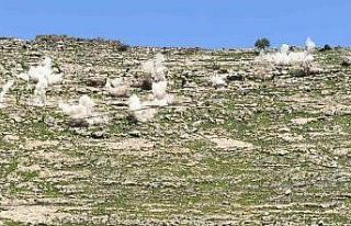 AFAD’dan Şırnak’ta güvenlik hamlesi: Riskli...