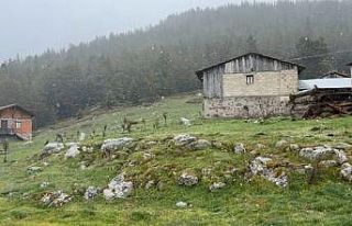Bolu’da hava sıcaklıkları düştü, yaylalar...