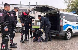 Ehliyetsiz sürücü zorluk çıkarınca biber gazı...