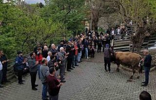 Geçmişten günümüze: Kemaliye’de şükür kurbanı