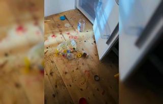 Gümüşhanelilerin ayılarla imtihanı devam ediyor
