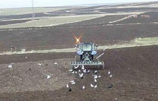 Kars’ta kış uzadı, ekim gecikti: Çiftçi zamanla...