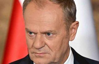 Polonya Başbakanı Tusk: "(NATO) En büyük...
