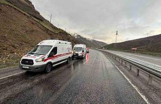 Tatvan’da trafik kazası: 2 yaralı
