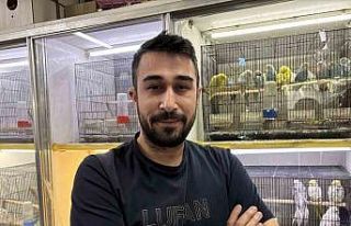 Teknoloji bağımlılığına karşı evcil hayvan...