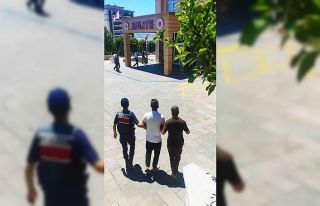 Torpil şakası 92 hektarı kül etti, hapis ve 43,7...