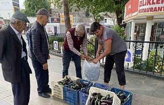 Ürettiği patlıcanlar maliyetini kurtarmayınca...