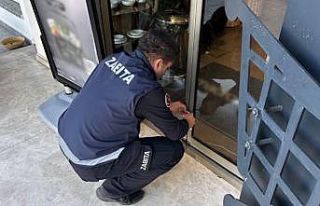 Bodrum’da 8 işletmeye 3 gün kapatma cezası