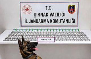 Şırnak’ta jandarmadan uyuşturucu ve aranan şahıslara...