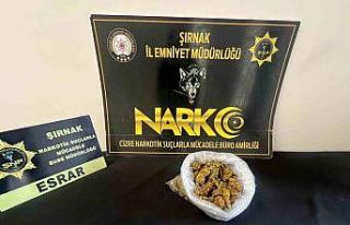 Şırnak’ta narkotik ve asayiş operasyonları:...