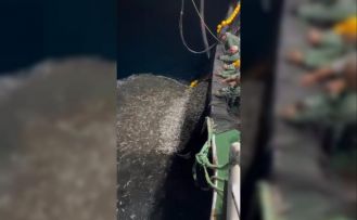 Çanakkale’de balıkçılardan örnek avcılık, yavru balıkları denize geri saldı