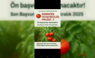 Muradiye’de "Domates Yetiştiriciliği" projesi için ön başvurular başladı