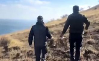 Rehabilite edilen keklikler yeniden doğayla buluştu