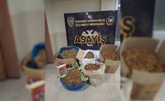 Samandağ’da kaçak tütün operasyonu