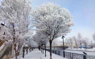 Bayburt’un Arpalı Beldesi güne kar yağışıyla uyandı
