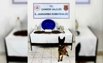 Çankırı’da uyuşturucu operasyonu: 1 gözaltı