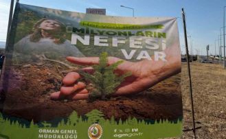 Cizre’de havalimanı yolu 450 fidan ile yeşilleniyor