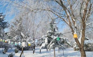 Elazığ’da dondurucu soğuklar: Karakoçan’da termometreler -22’yi gösterdi