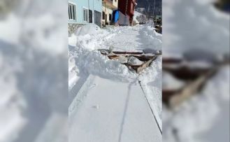 Karadenizli zekası