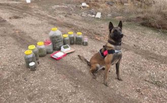 Karaman’da uyuşturucu operasyonu: 1 gözaltı