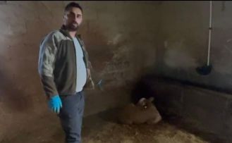 Yozgat’ta ahırlara yıldırım düştü, hayvanlar telef oldu