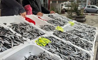 Zonguldak’ta Sevgililer Günü’ne özel hamsi kampanyası: Kilosunu 100 liradan sattılar