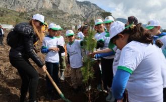 Akyaka’da yanan alan fidanlarla yeşeriyor