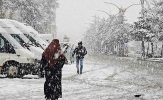 Ahlat’ta nisan karı etkili oldu
