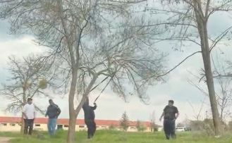 Eskişehir’de ‘mangal için ağaç dalını kırmaya çalıştılar’ iddiası