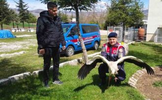 Hasta leylek koruma altına alındı