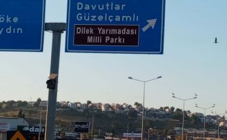 Kuşadası’nda leylekler geri döndü