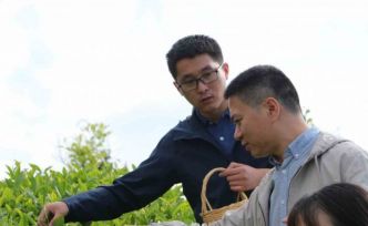 Çin’den gelen akademisyenler Rize’de çay topladı