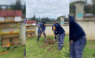 Orman yangınları sonrası yola çıktı, 71. fidanını Bolu’da dikti