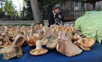 Kütahya’da ’Melki’ bereketi