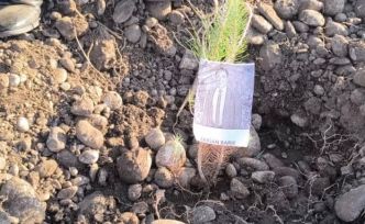 Öğretmenler, şehit ve depremde kaybedilen meslektaşları için fidan dikti