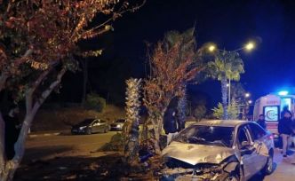 Antalya’da palmiyeye çarpan otomobilin sürücüsü yaralandı