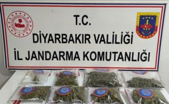 Diyarbakır’da 25 kilo esrar ele geçirildi