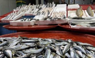 Geciken kış Konya’da balığı da vurdu