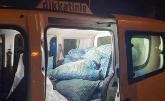 Samsun’da 300 kilo kaçak midye ele geçirildi