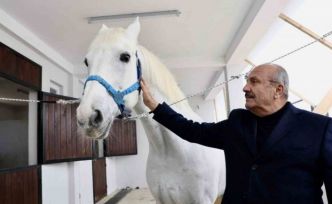 Taşköprü’ye atlı turizm merkezi kuruluyor