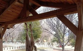 Afyonkarahisar’da öldürülen köpekle ilgili çok yönlü soruşturma