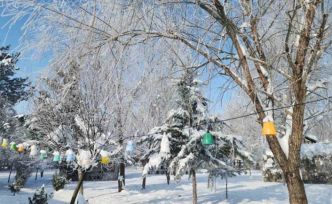 Elazığ’da dondurucu soğuklar: Karakoçan’da termometreler -22’yi gösterdi