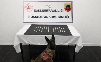 Harran’da uyuşturucu operasyonu: 2 gözaltı