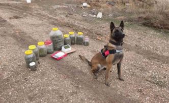 Karaman’da uyuşturucu operasyonu: 1 gözaltı