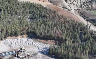 Kilis’te Akdeniz çam kabuk böceğine karşı biyoteknik mücadele